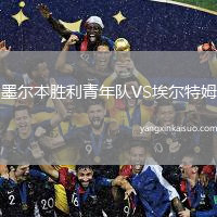 墨尔本胜利青年队VS埃尔特姆