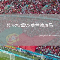 埃尔特姆VS莫兰德斑马