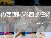 内西鹰队VS西部狂怒