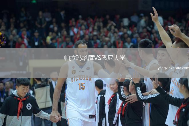 帕拉玛塔鹰VS悉尼大学