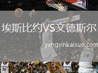 埃斯比约VS文德斯尔