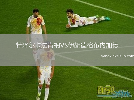 特泽尔卡法肯纳VS伊胡德格布内加德