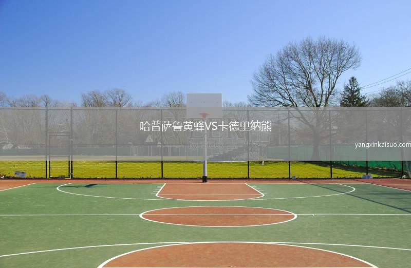 哈普萨鲁黄蜂VS卡德里纳熊