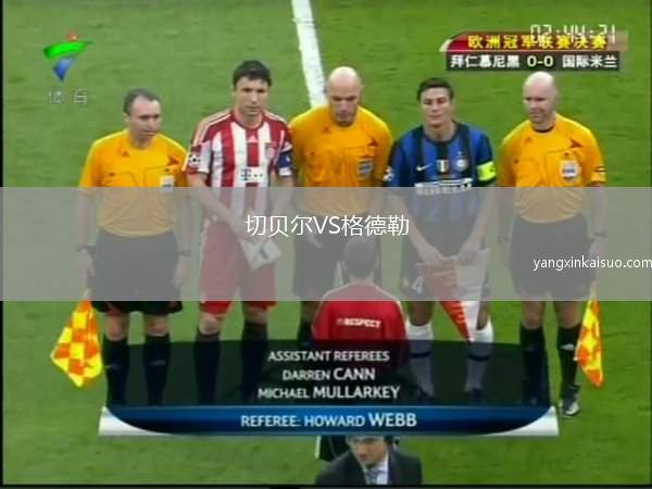 切贝尔VS格德勒