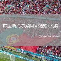 布里斯托尔飓风VS赫默风暴