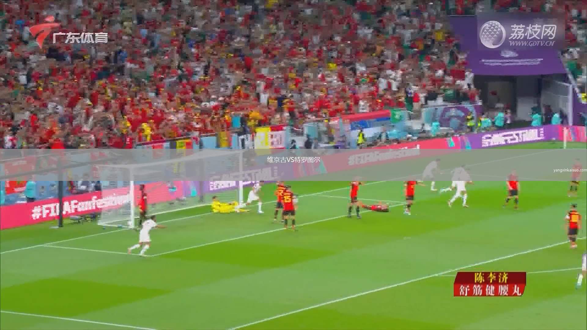 维京古VS特罗图尔