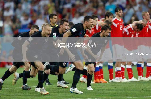 沙莫林VS鲁玻夫纳