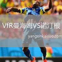 VfR曼海姆VS诺汀根