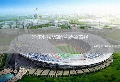 哈尔亚拉VS哈普萨鲁黄蜂