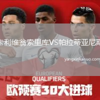 卡利维翁索里库VS帕拉蒂亚尼斯