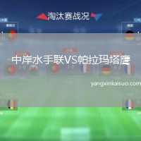 中岸水手联VS帕拉玛塔鹰