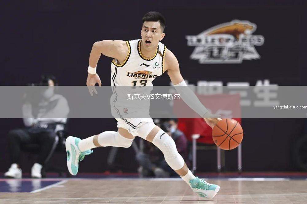 斯基夫VS文德斯尔