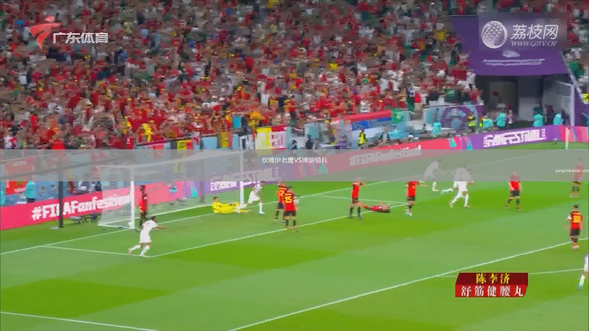 坎博伊老鹰VS博游骑兵