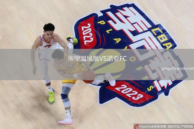 埃里温凤凰VS诺亚FC