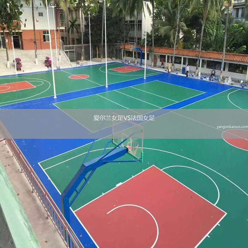 爱尔兰女足VS法国女足