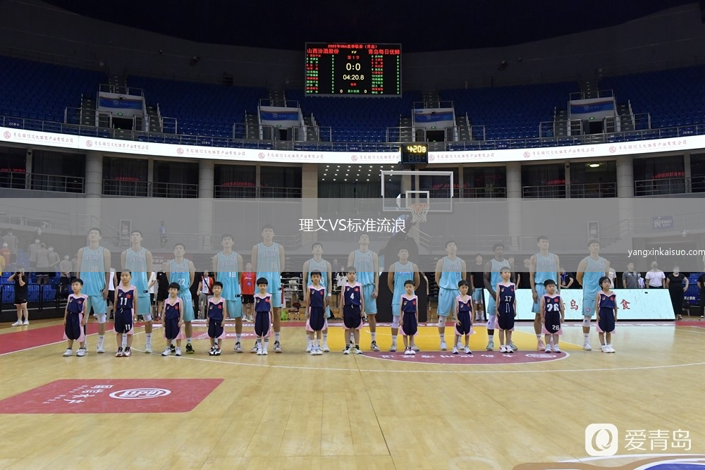 理文VS标准流浪