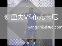 谢里夫VS布尤卡尼