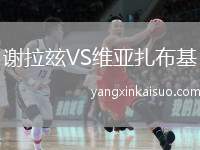 谢拉玆VS维亚扎布基